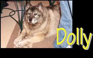 Dolly