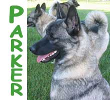 Parker